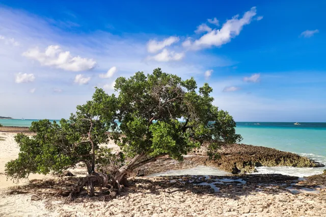 Aruba Events Calendar: October – December 2026 - Lets Go To Aruba